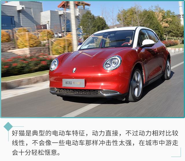 好开的大眼萌—欧拉好猫