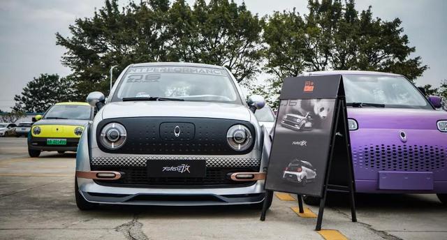 玩改装却想省钱?欧拉车主给出了答案